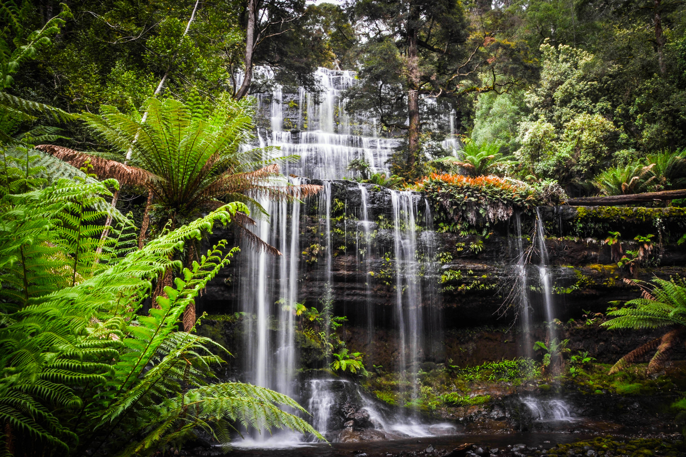 smithton, tasmania (4).webp
